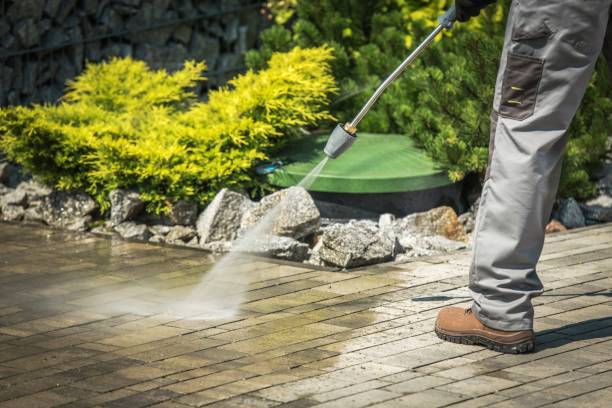Best Soft Washing for Delicate Surfaces in Ravensworth, VA
