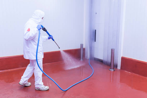 Best Roof Cleaning and Mildew Removal in Ravensworth, VA