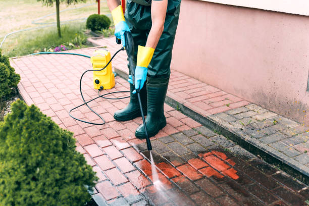 Best Vinyl Siding Pressure Washing in Ravensworth, VA